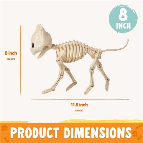 Cat Skeleton Halloween Decorations 8 Inch Plastic Animal Skeletons - Picture 3 of 8